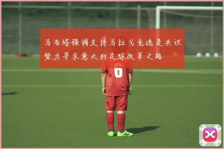 马洛塔强调支持马拉戈竞选是共识努力寻求意大利足球改革之路